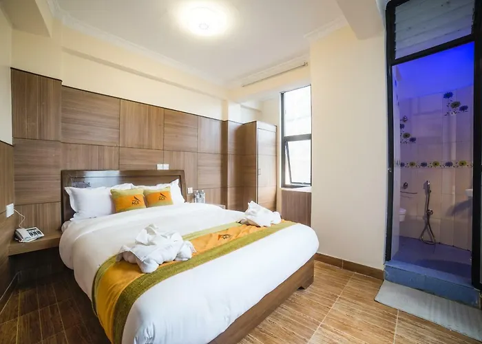 Ace 3* Kathmandu
